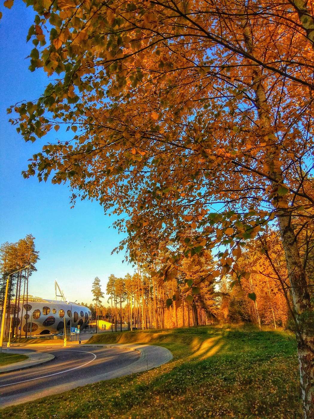 Autumn