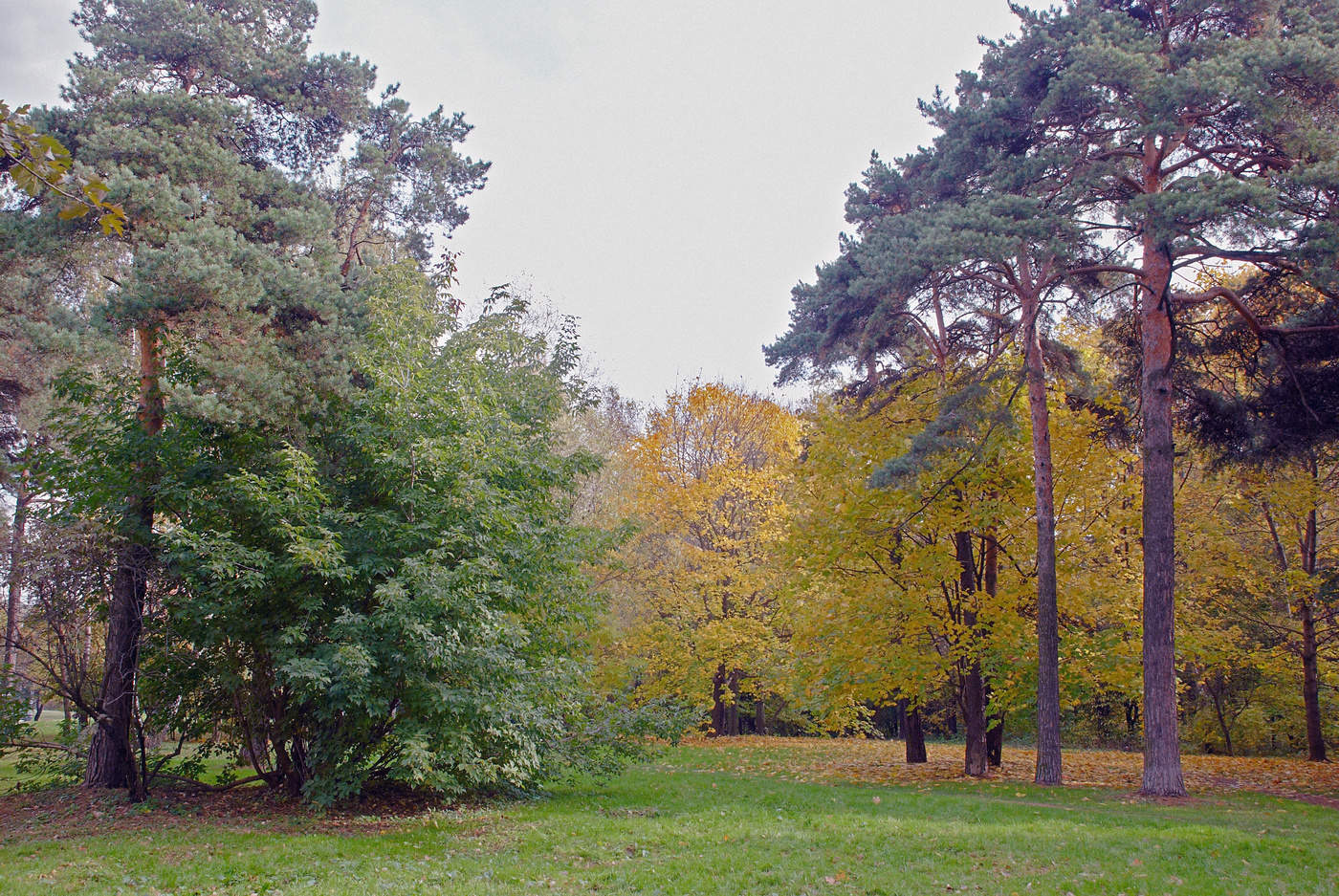 *Autumn sketch**