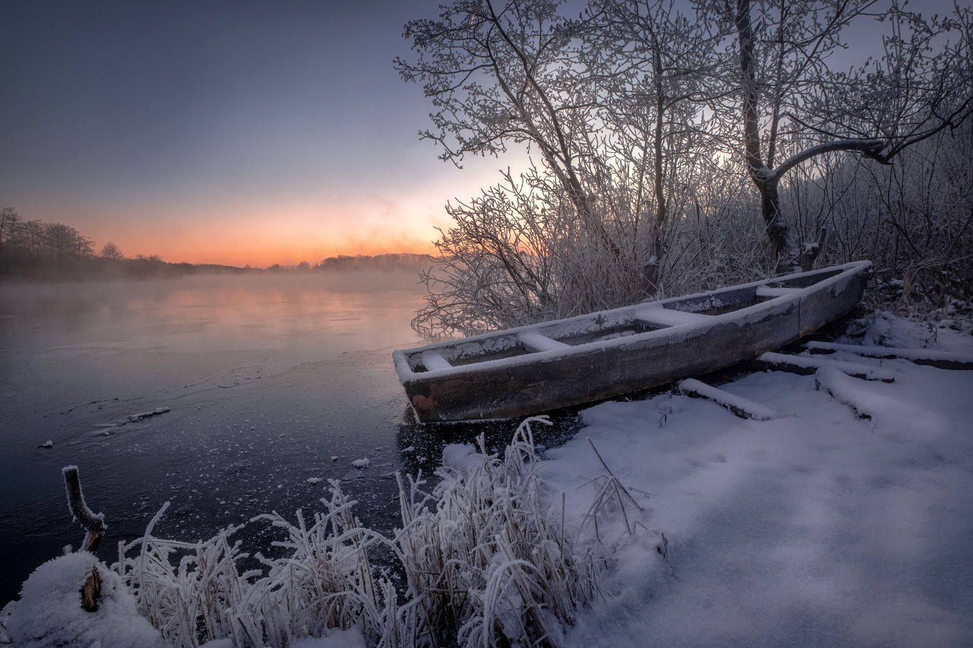 In the frosty mist