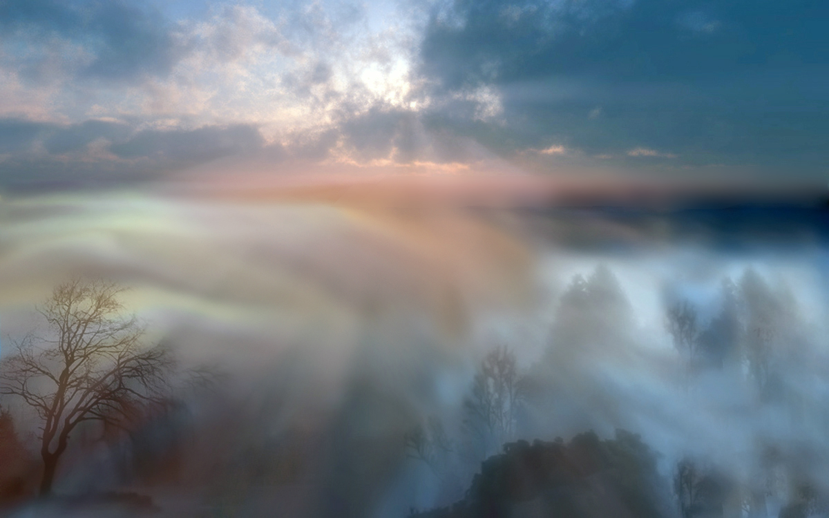 Foggy morning ...