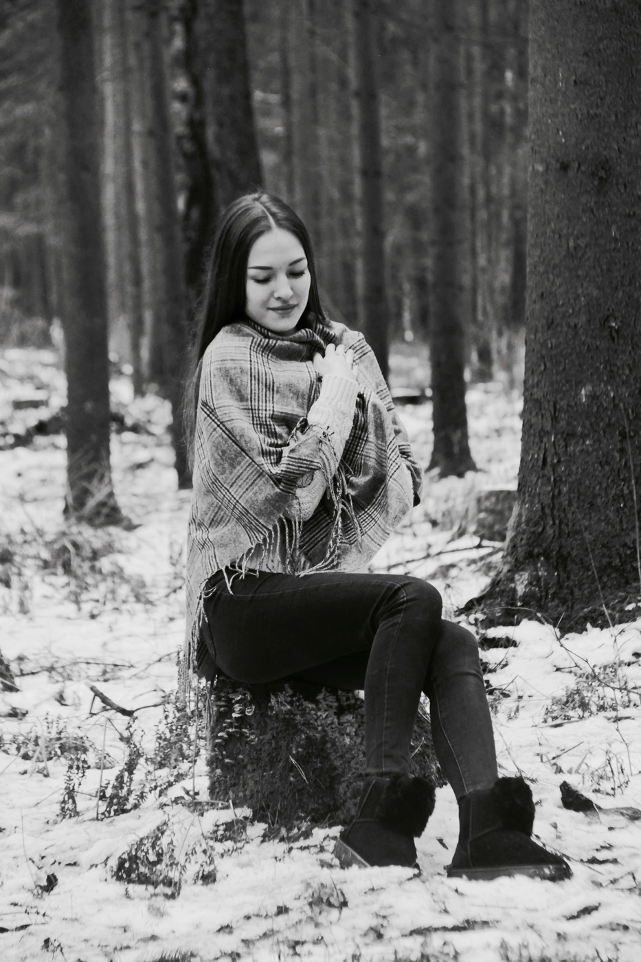 in the winter forest