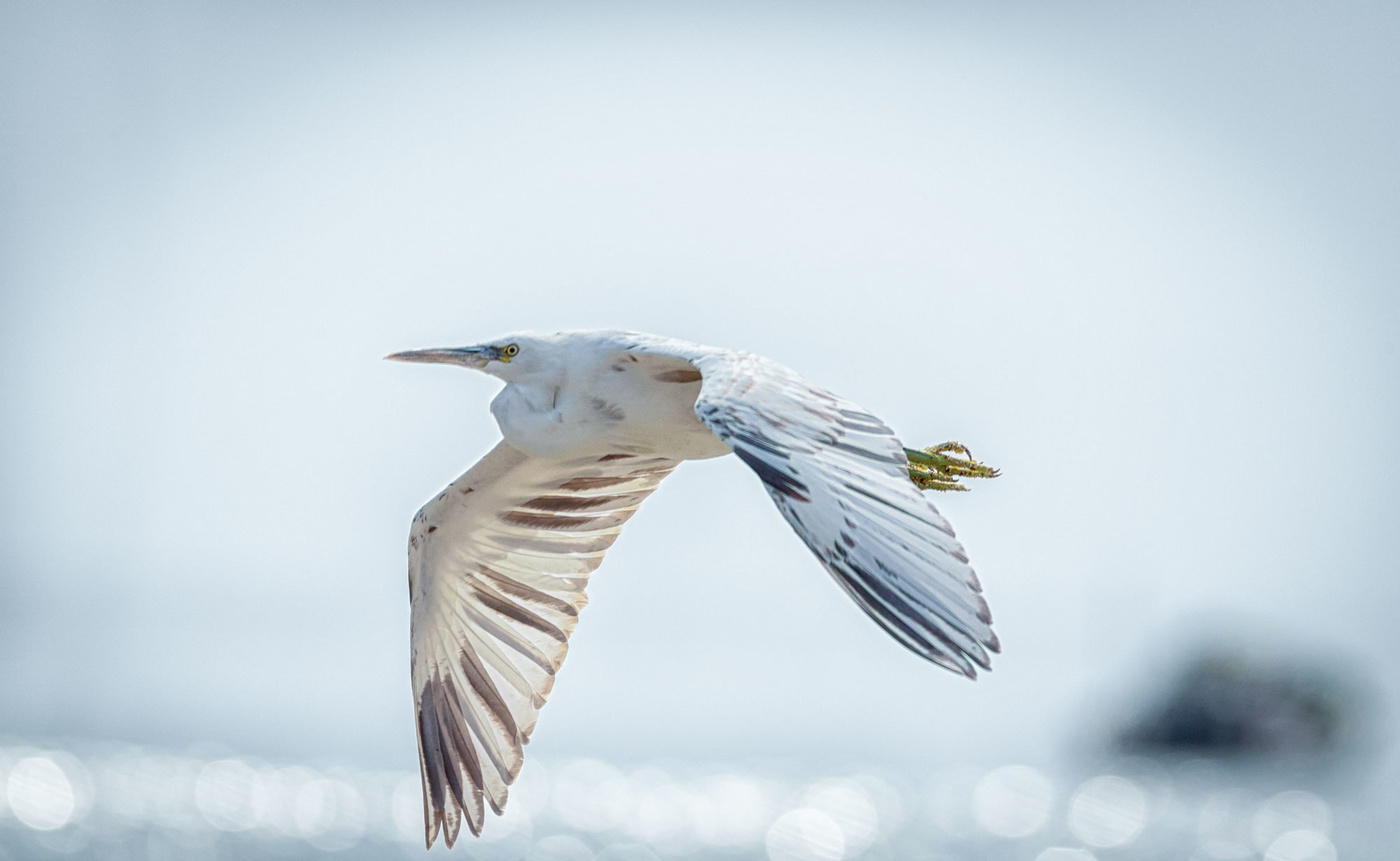 Flight