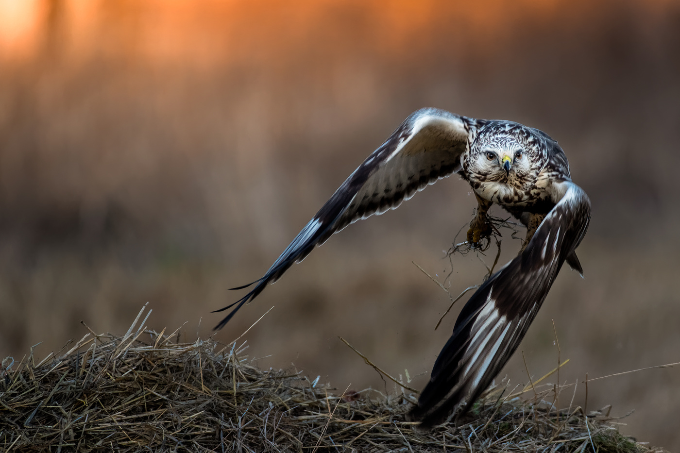 Take-off