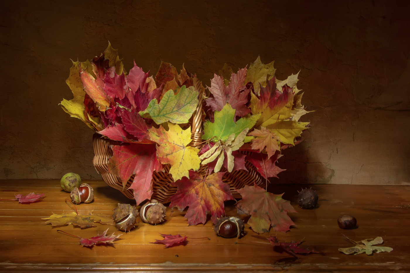 Autumn colors ...