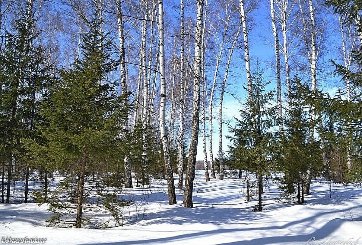 Noon