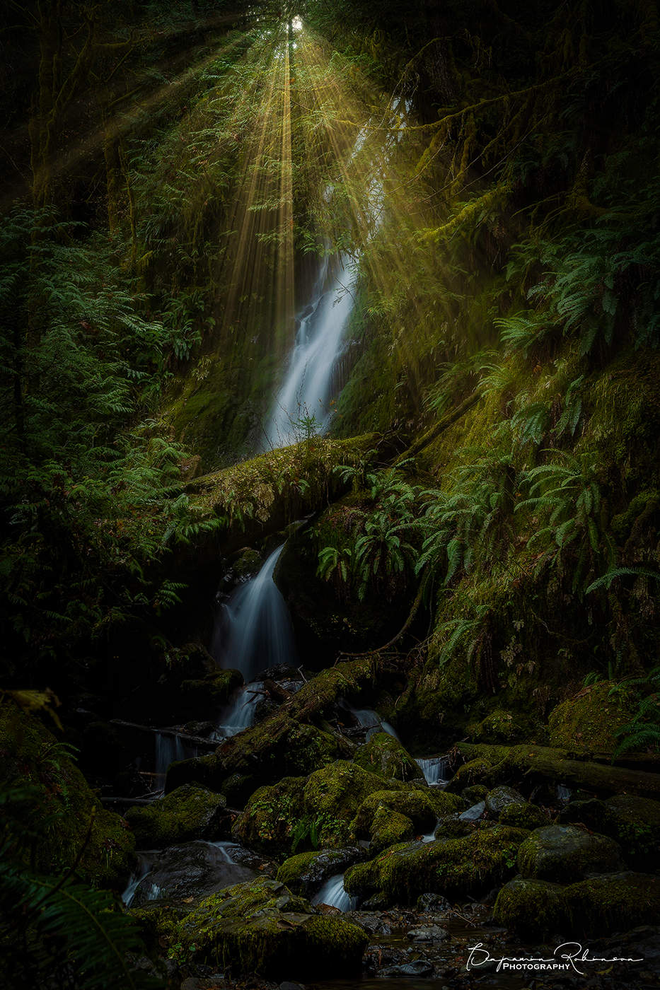 Merriman Fall Light Rays