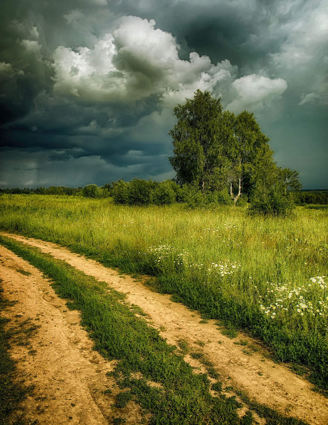 Before the storm