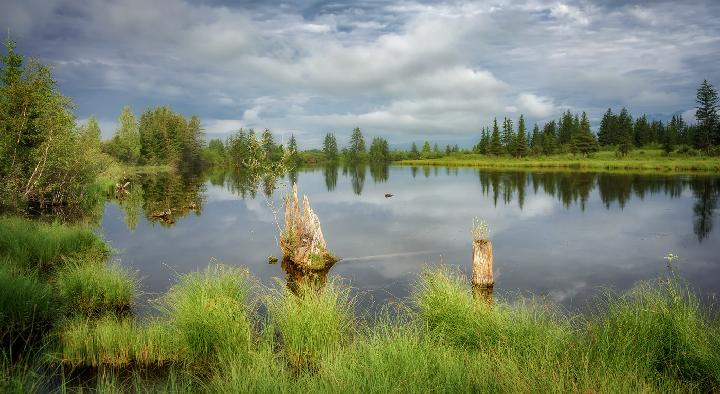 Bayou