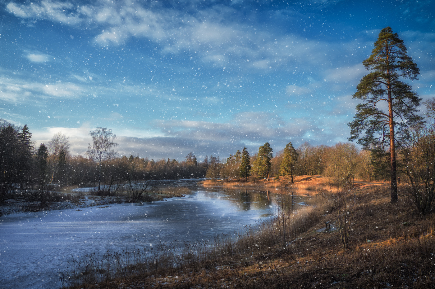 February the grounds of Priory Park. Gatchina.