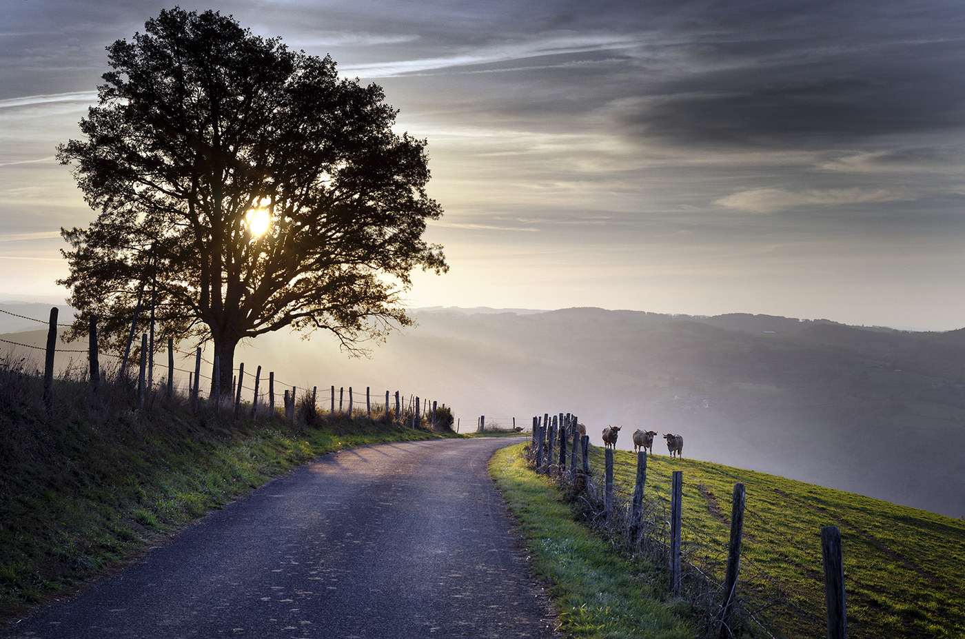 Morning Road