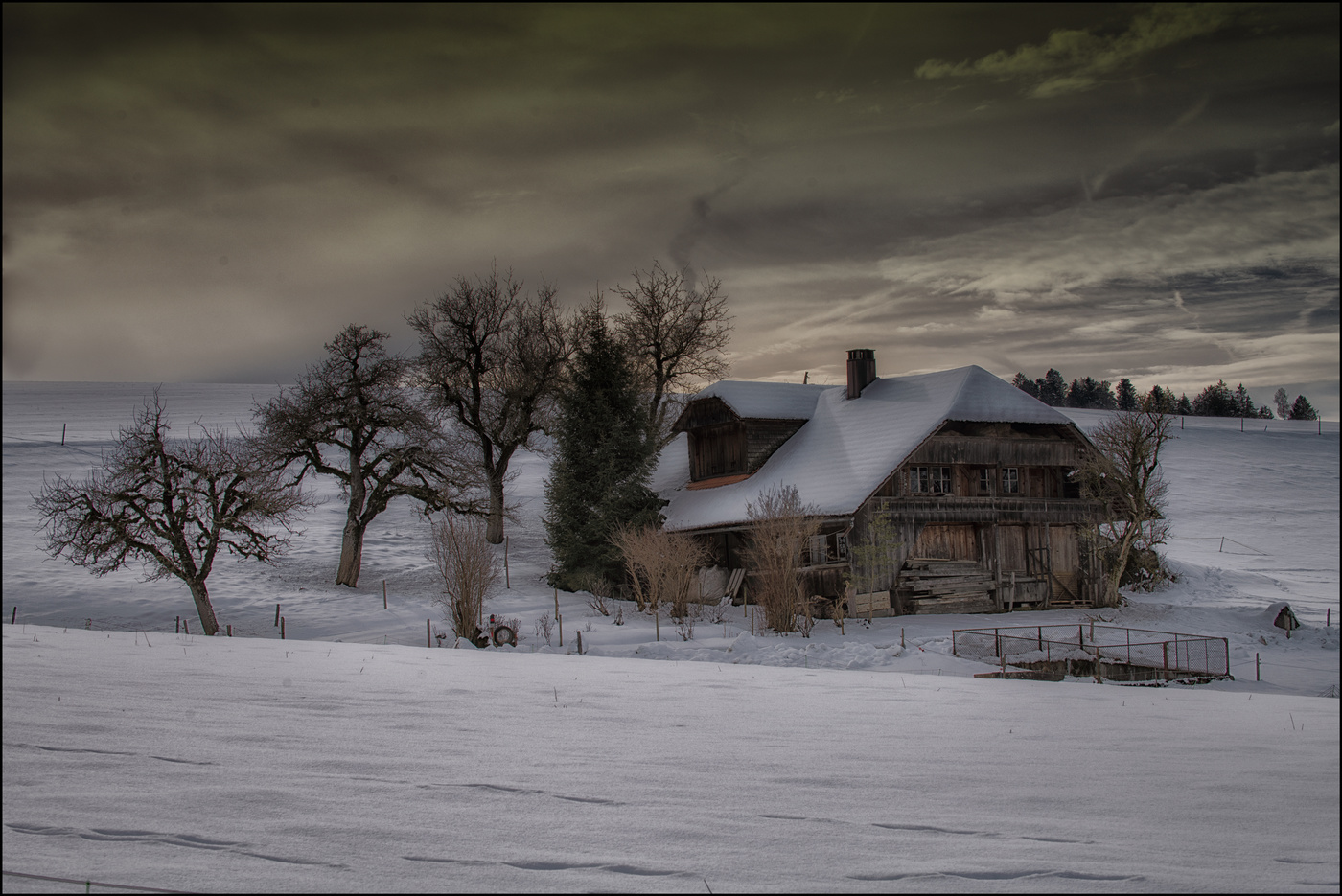 Country Life