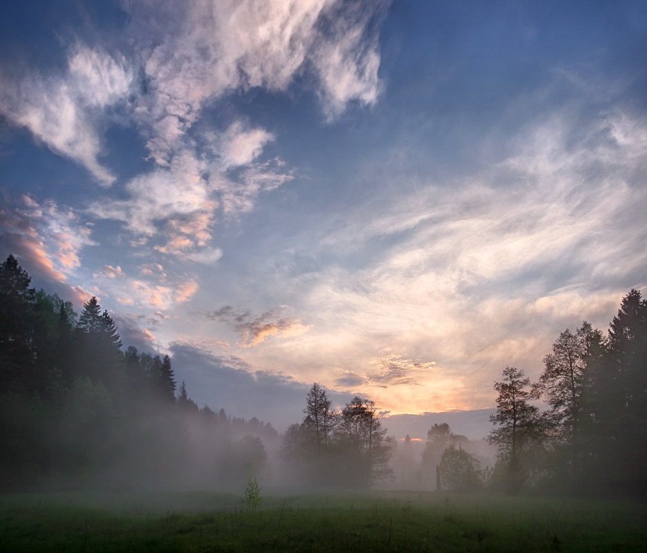 Evening ...