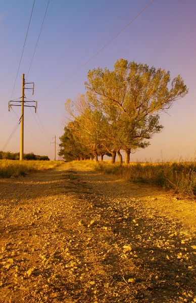 ... oh the road ...