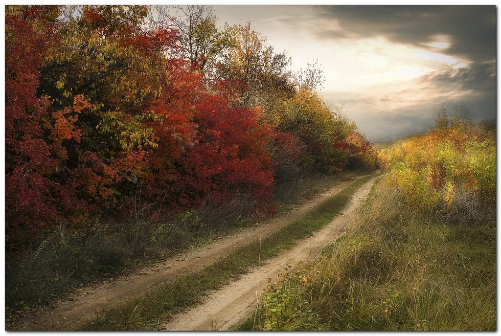 Autumn
