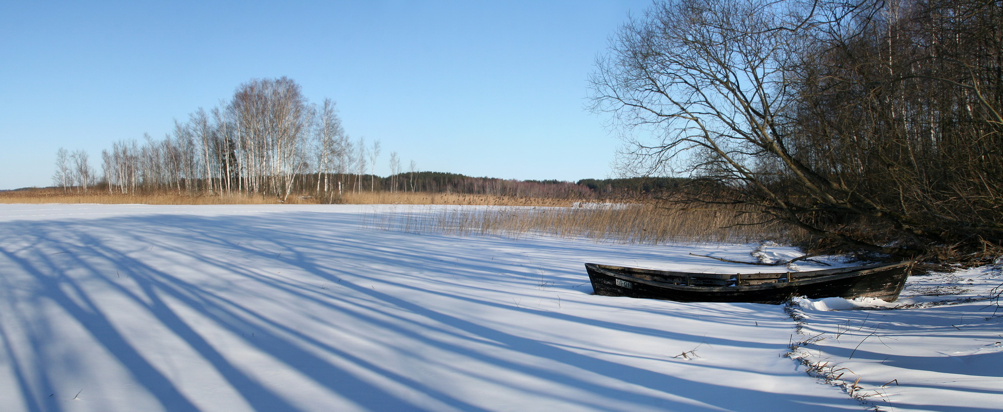 Strusto winter
