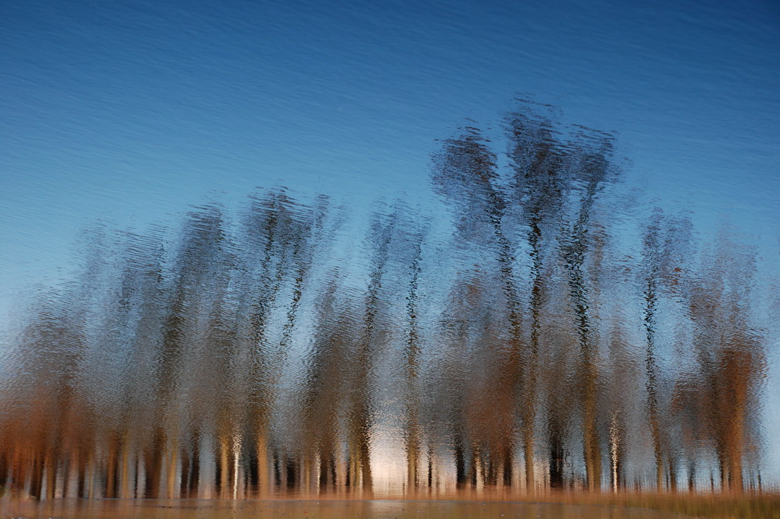 Autumn Mirage