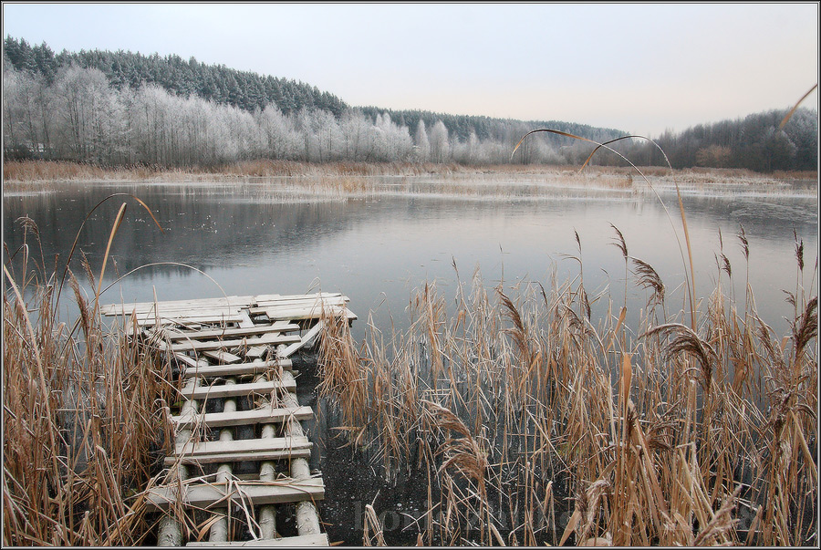 the beginning of freeze-