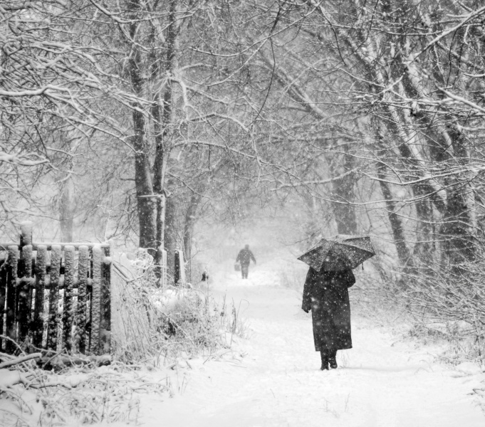 unusual walk (winter)
