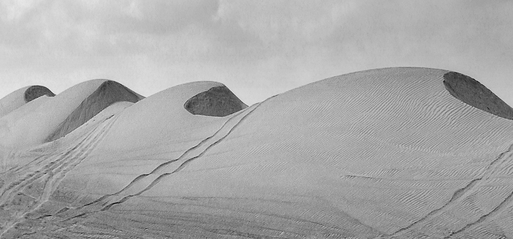 The rhythm of the sand dunes
