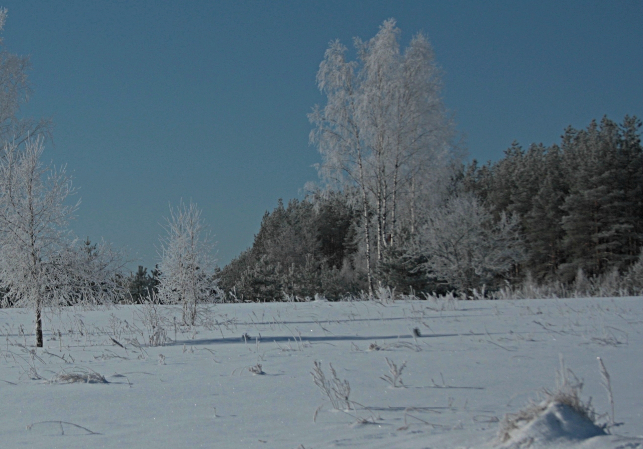 Winter morning.