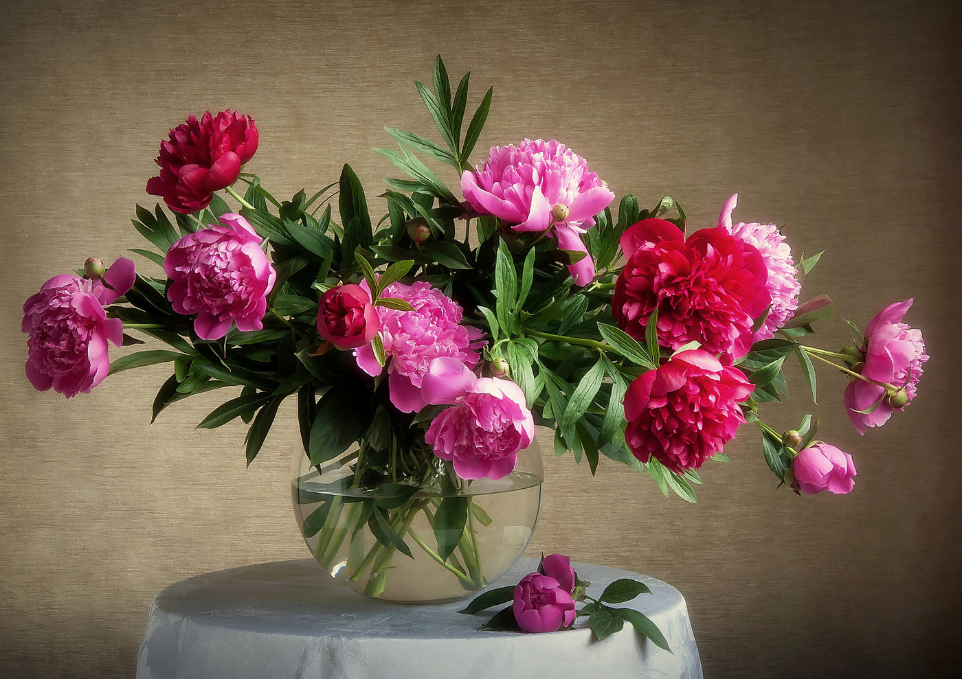 Peonies