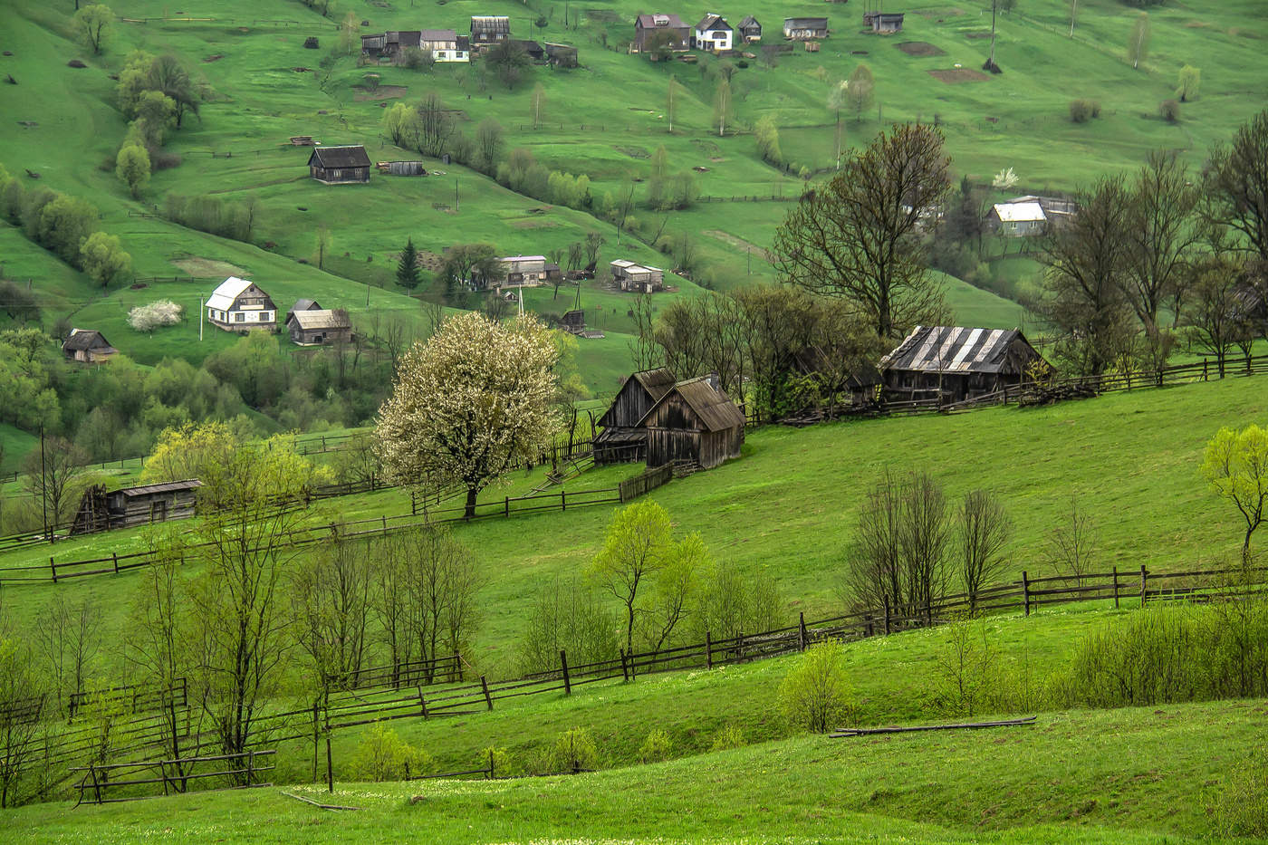 Spring