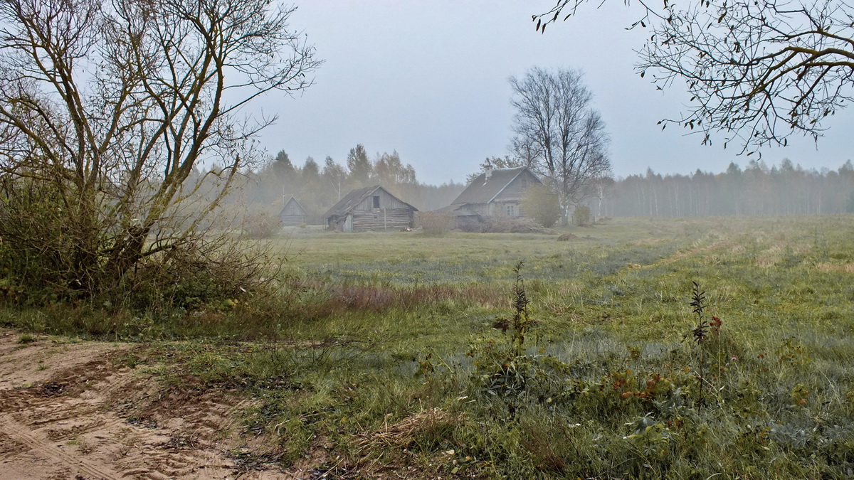 Farm