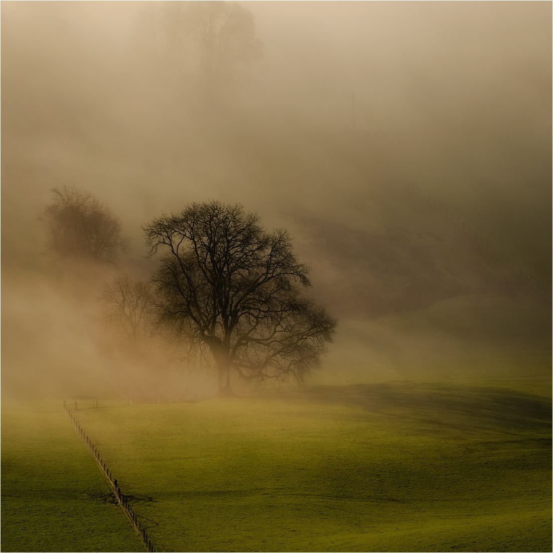 ... in the morning colors ...