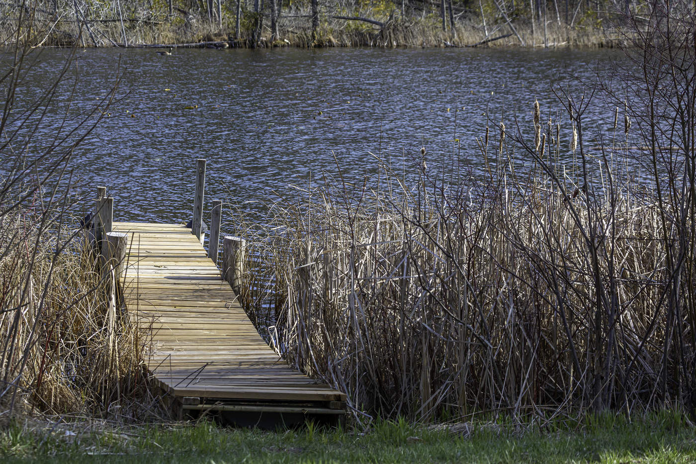 Small Dock
