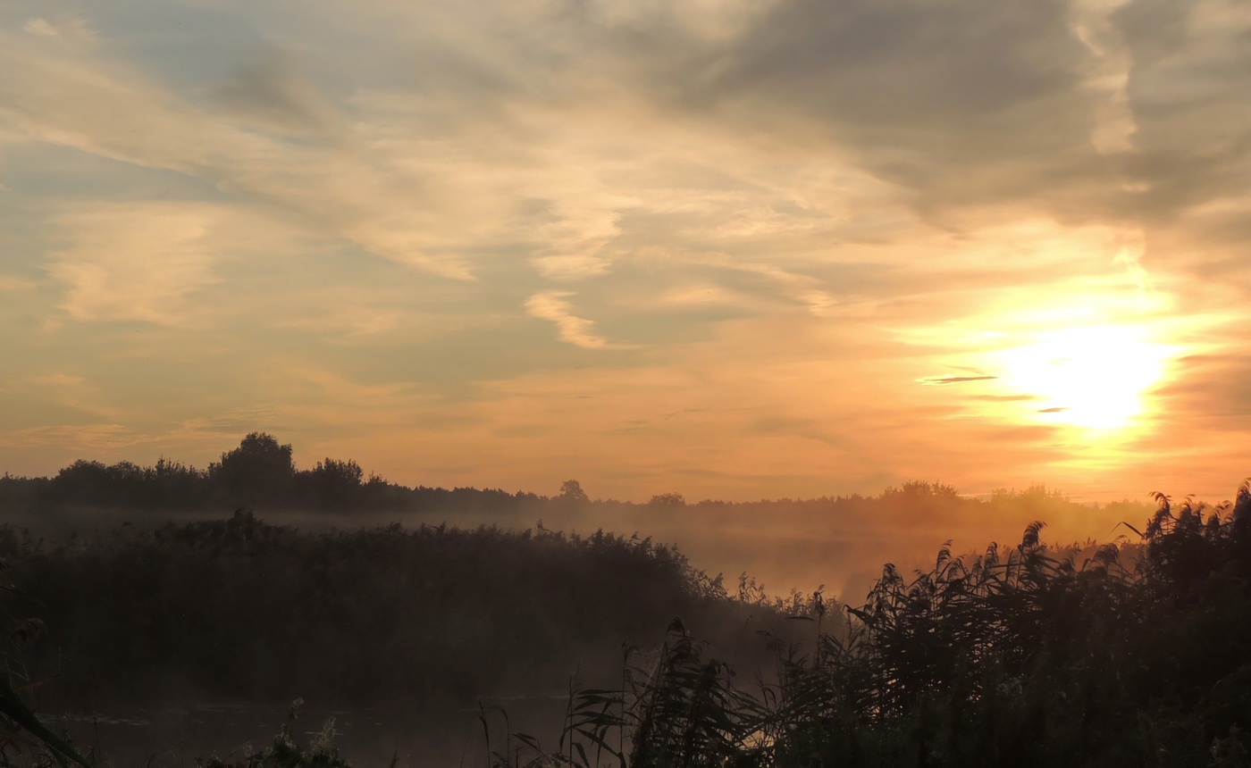 Morning on the oxbow