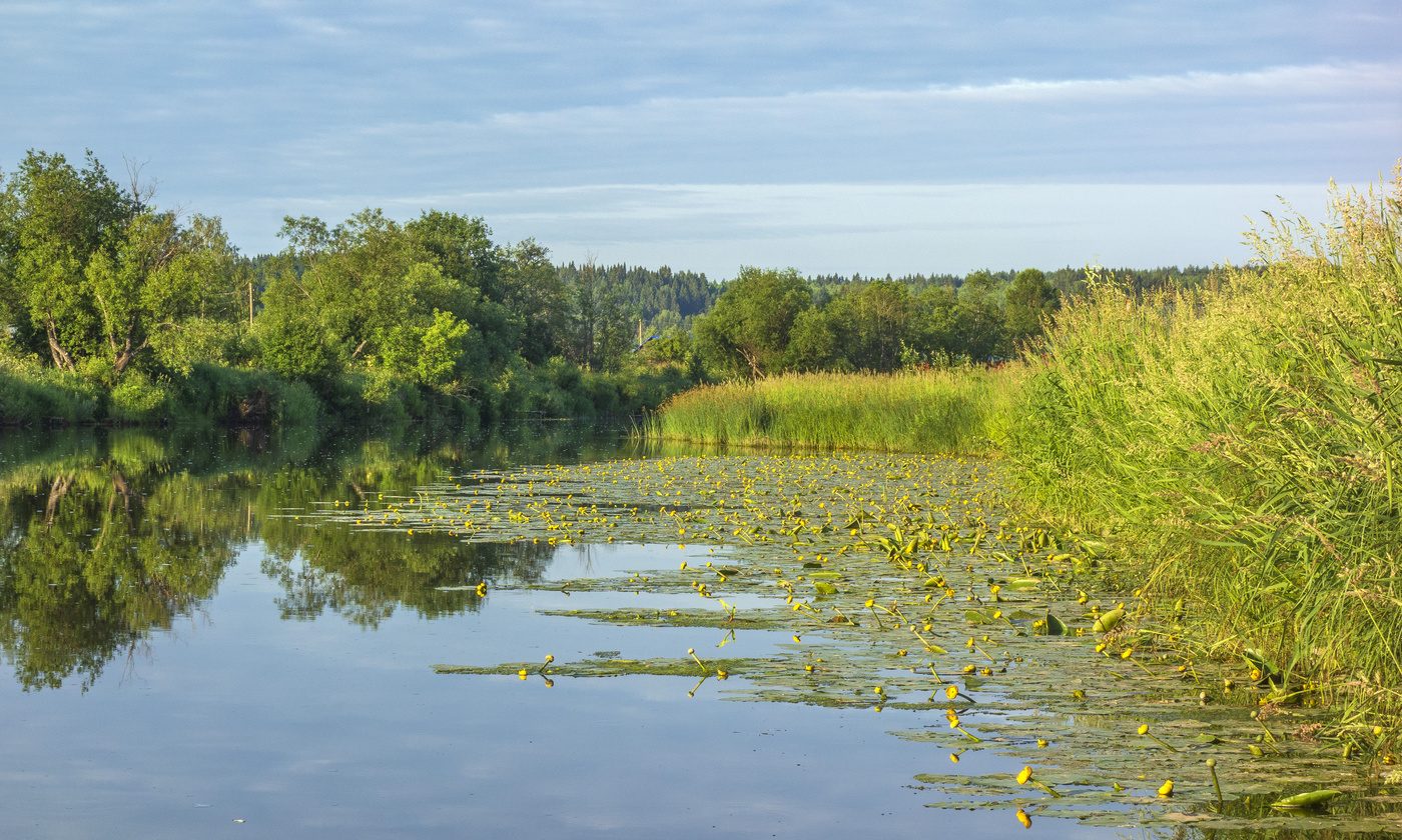 Morning on the river