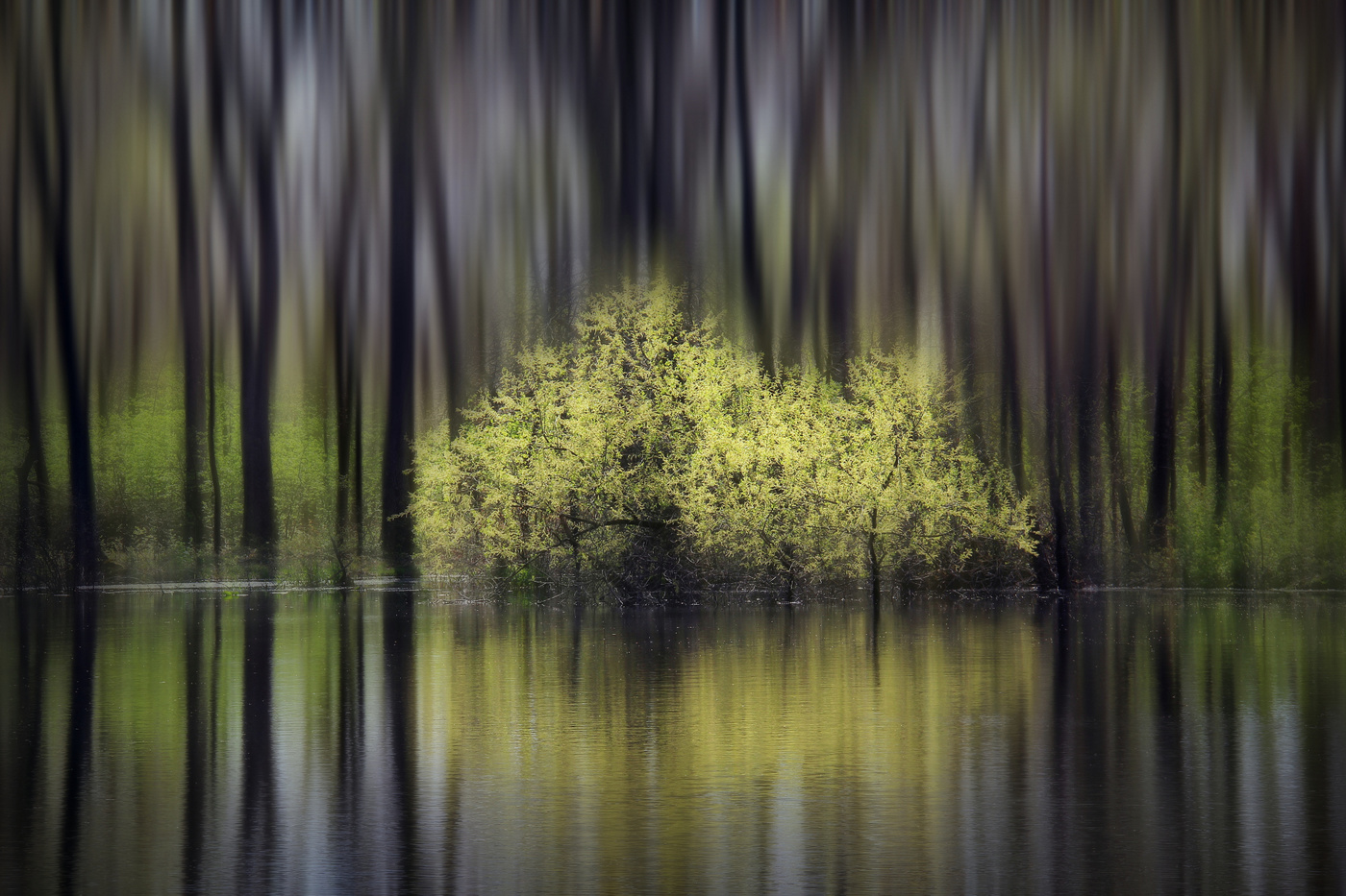 Spring