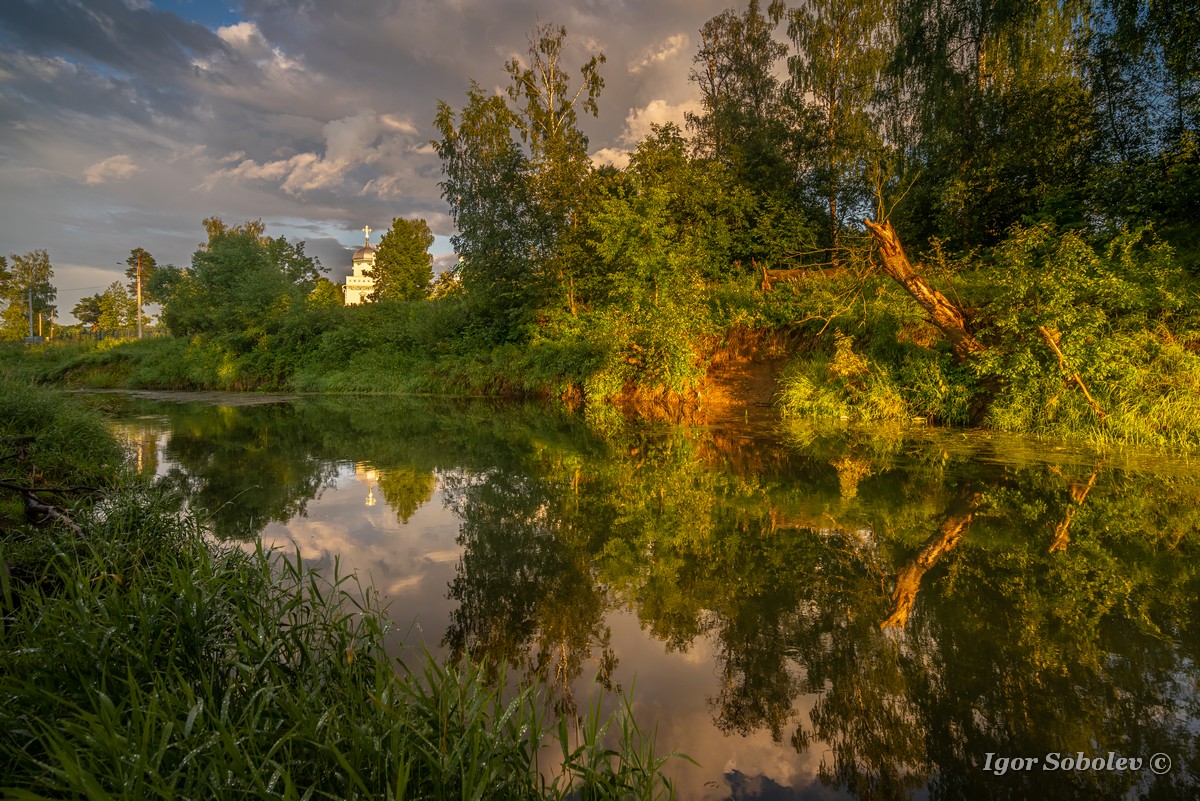 The evening after the rain