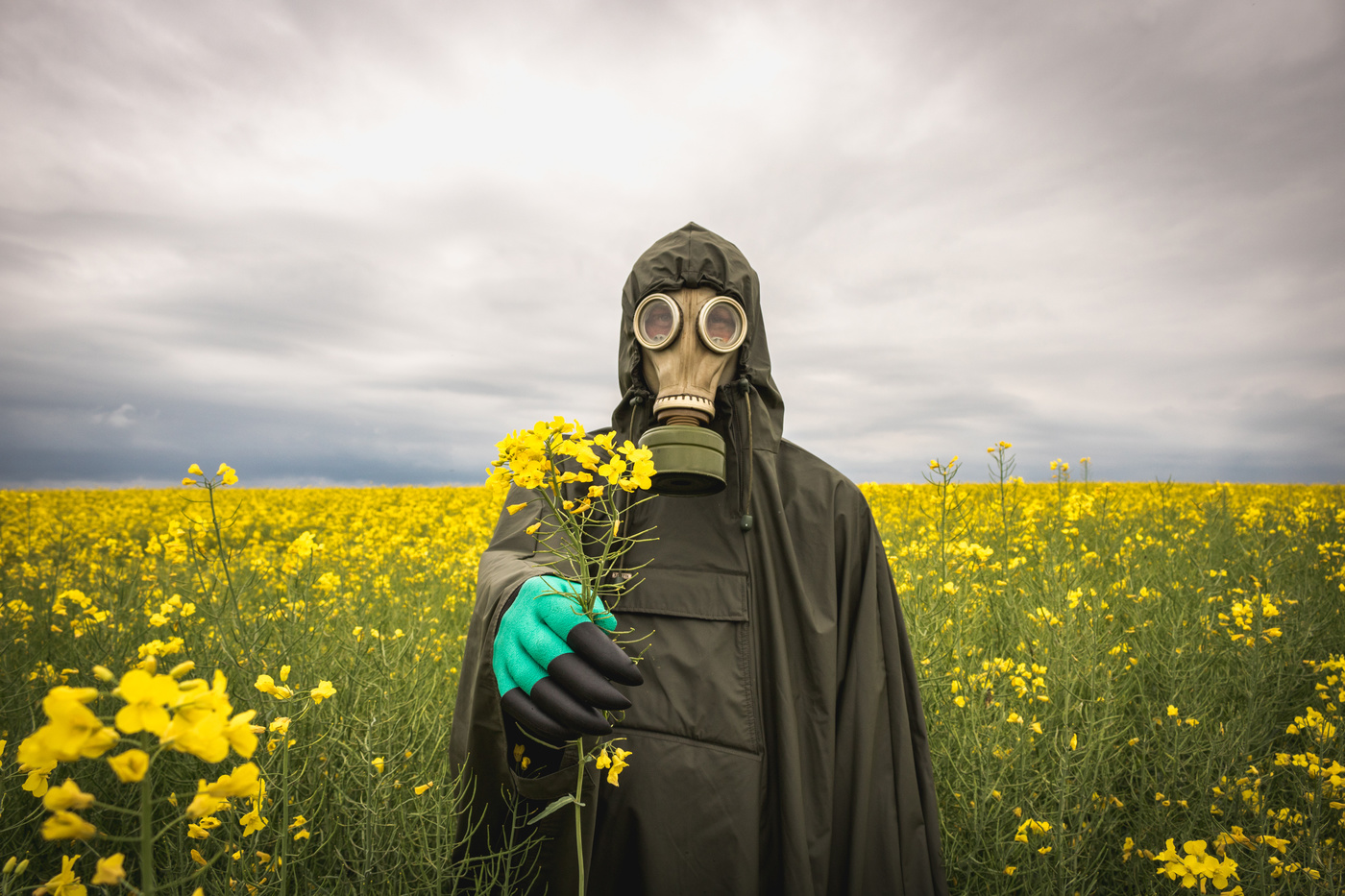 Allergy