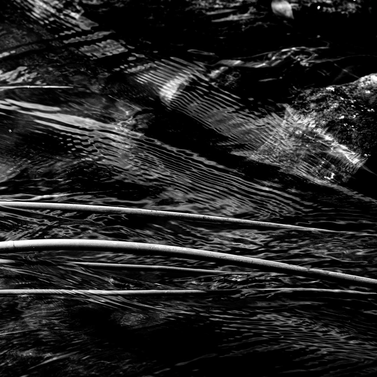 Strings
