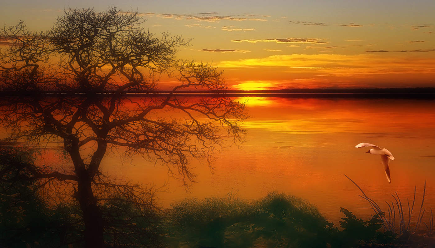 Red sun