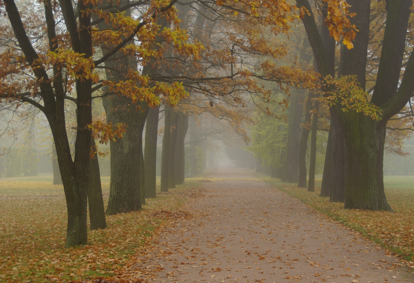 Autumn