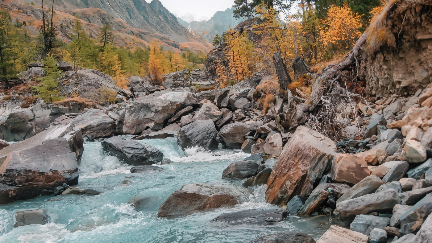 Stream...