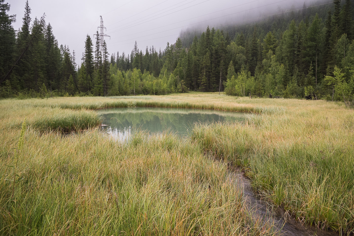 A small lake