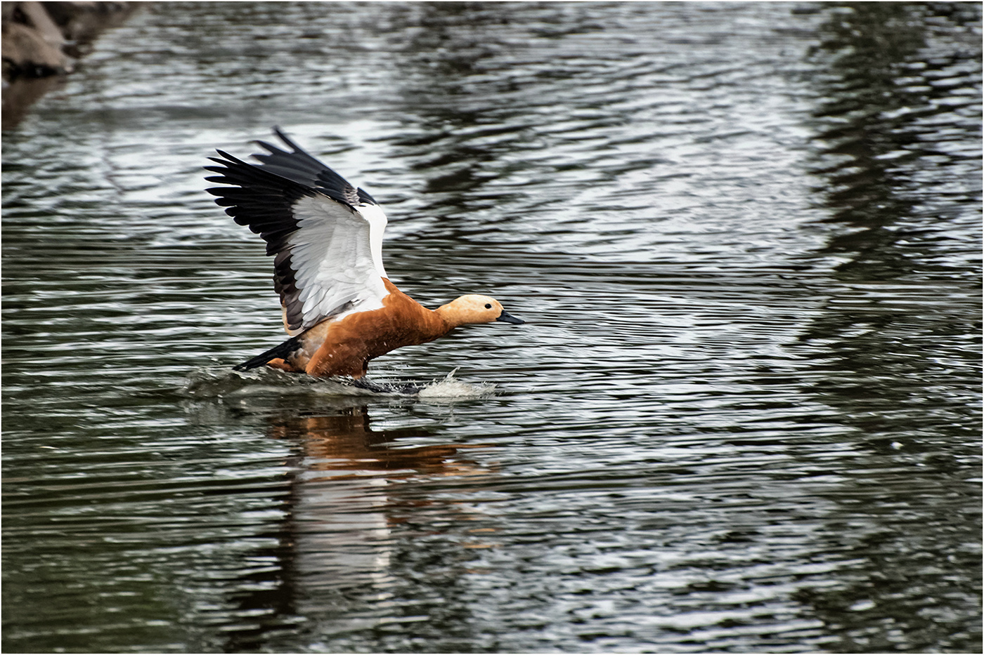 Soft landing