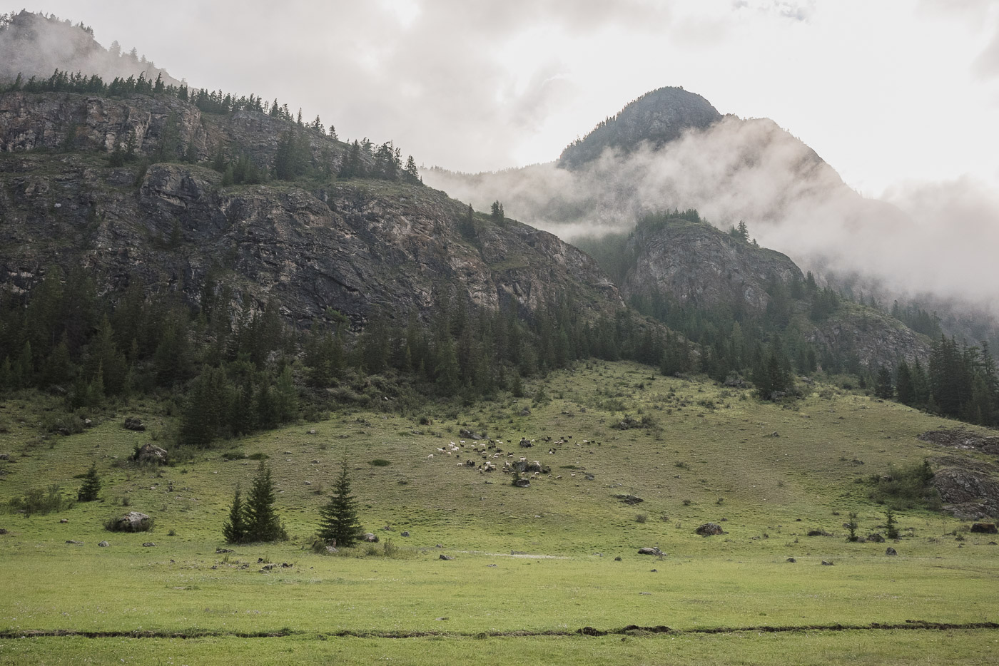 On pasture