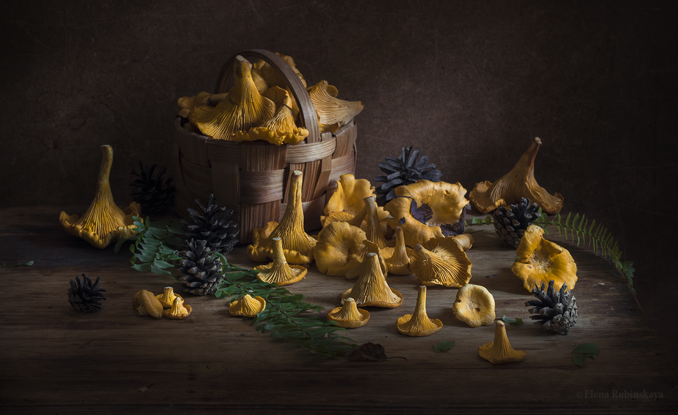 Chanterelles