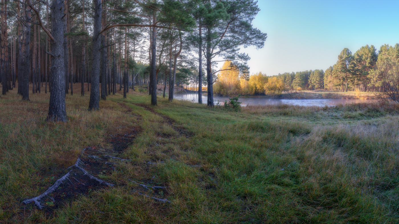 Autumn
