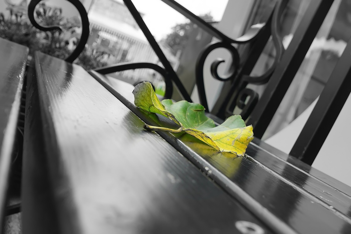 Autumn Sonata