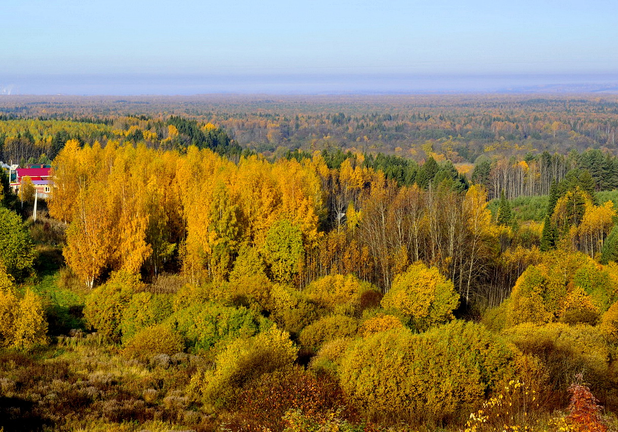 Autumn Sonata