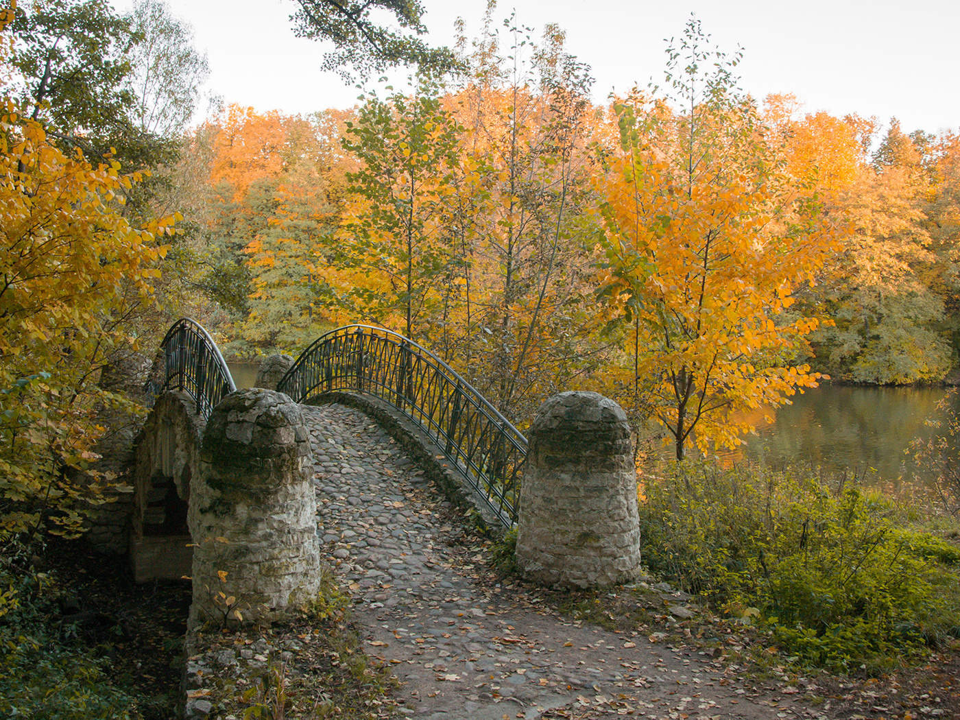 Autumn Sonata