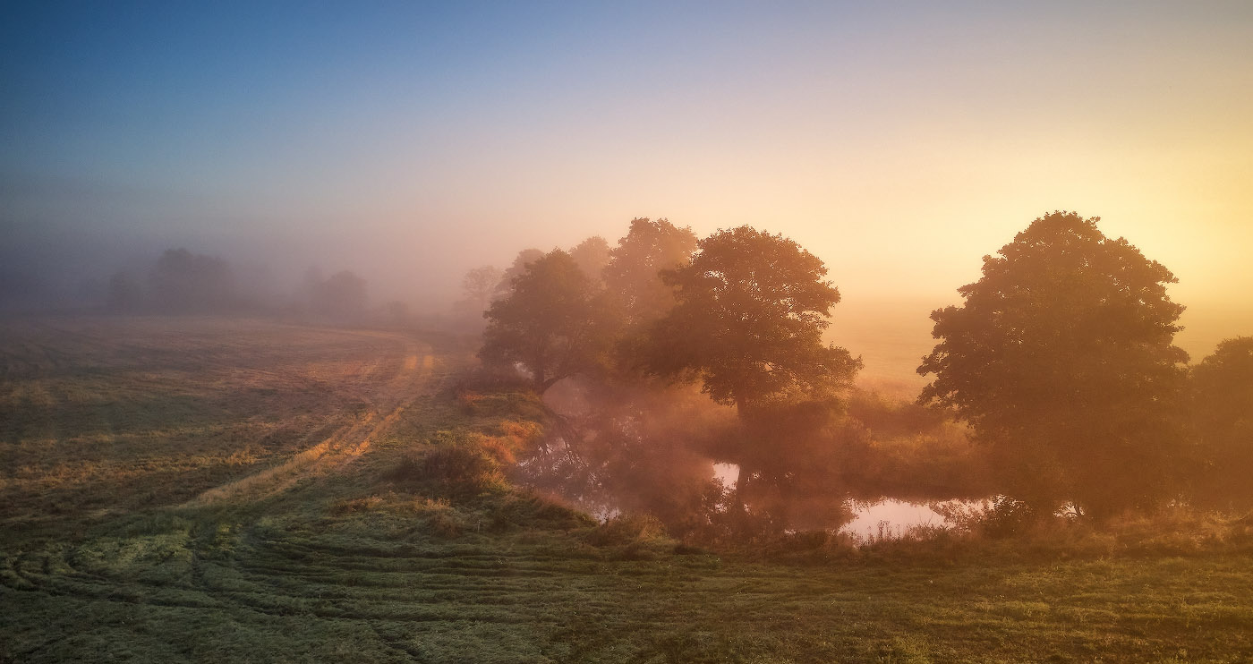 Mists of September