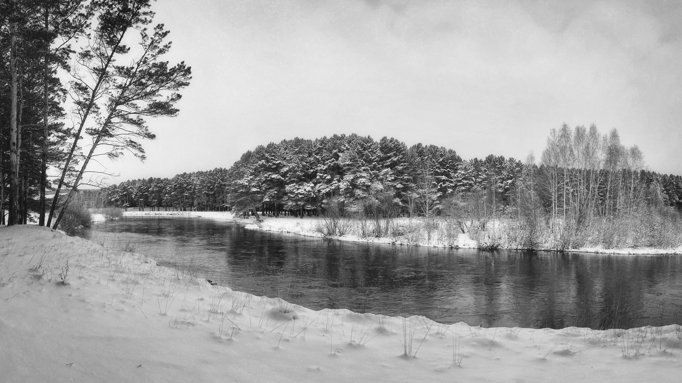 Winter landscape