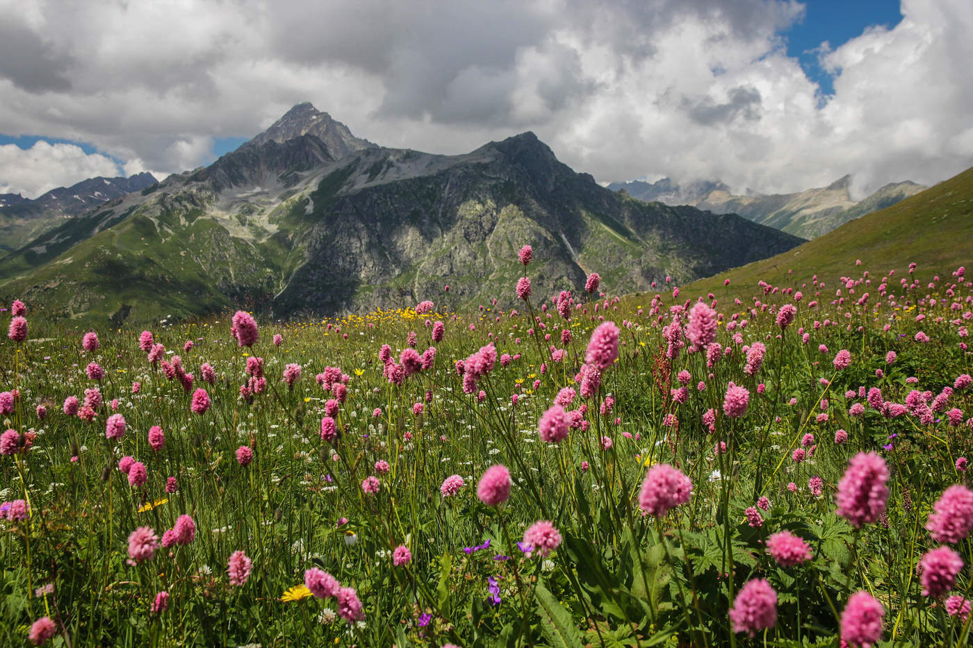 Горы Кабардино Балкарии Альпийские Луга