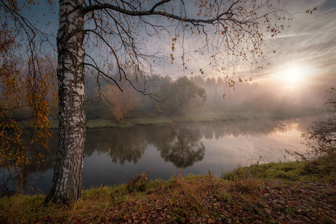Last leaves